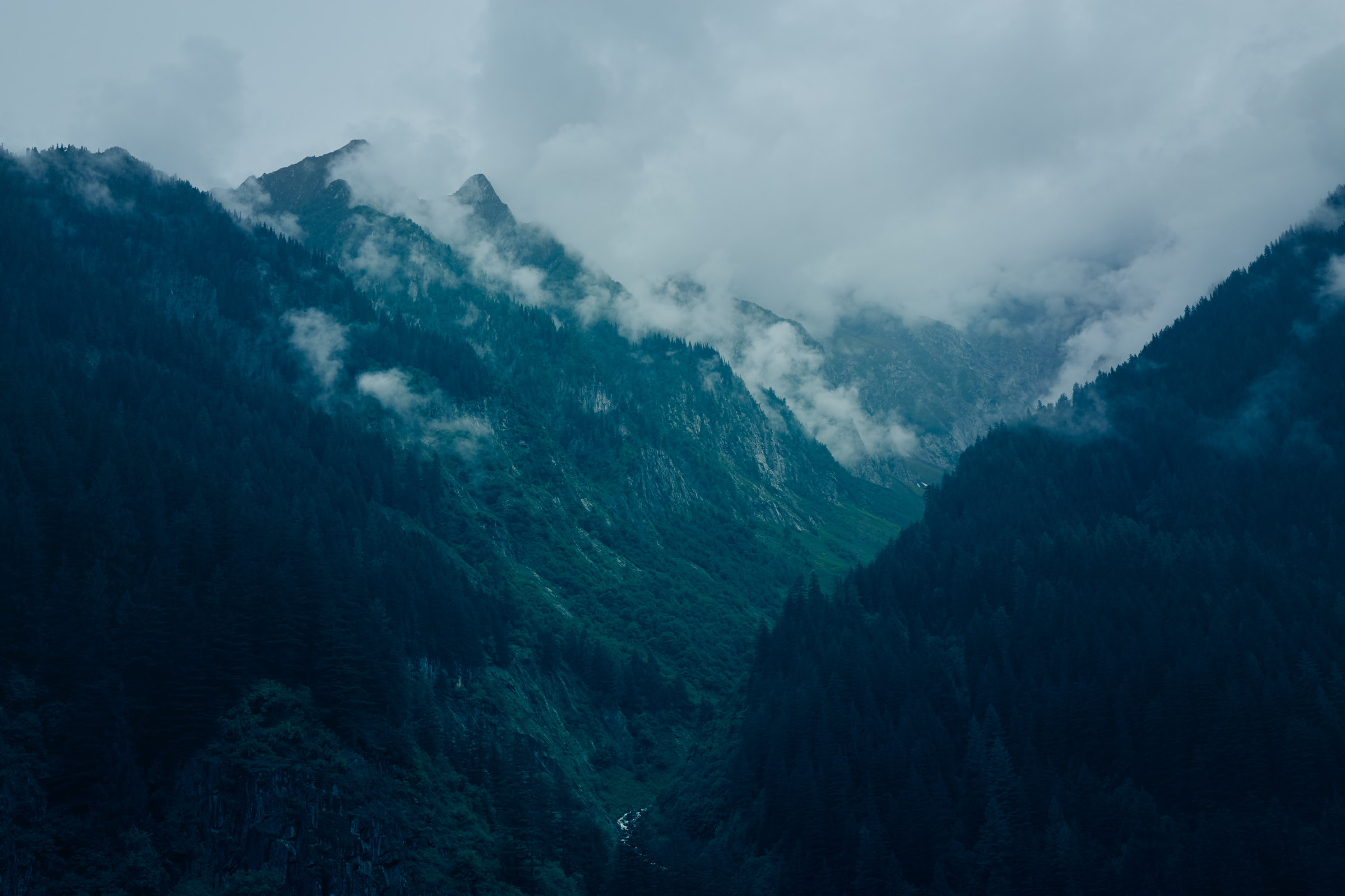 MountainsinMist
