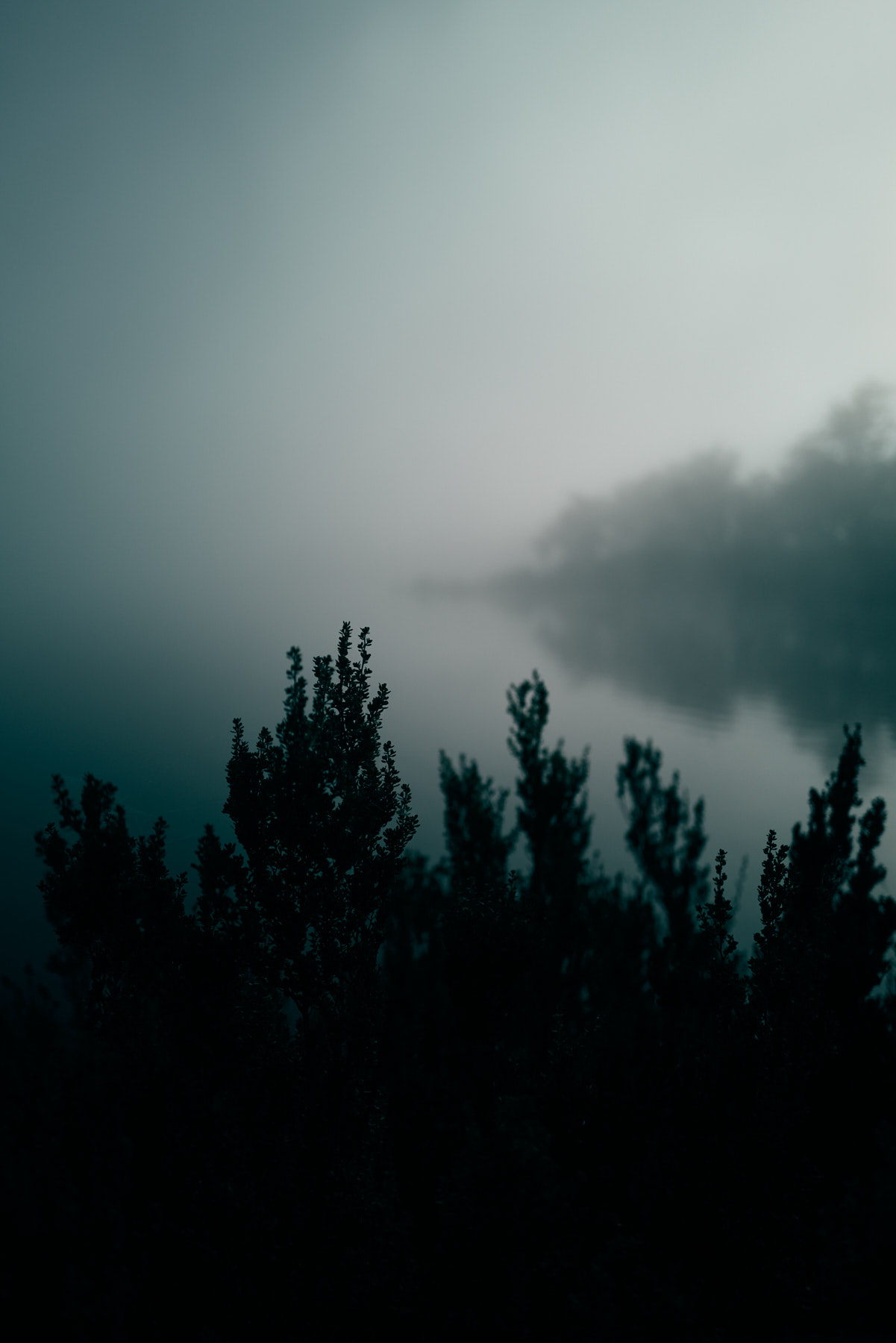 Tasmania2